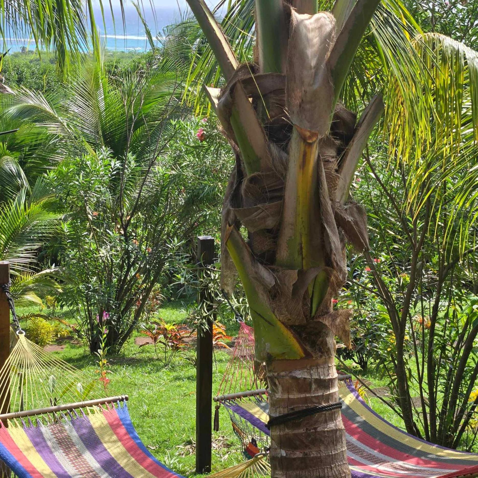The Lighthouse Retreat, Little Corn Island, Nicaragua Otel Dış mekan fotoğraf